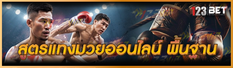 สูตรแทงมวยออนไลน์ พื้นฐาน